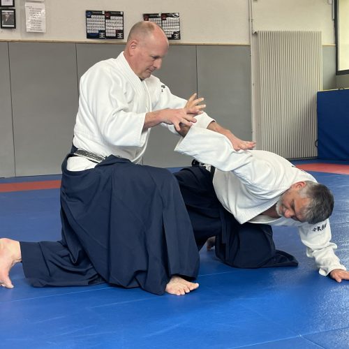 Stage Daito Ryu à Bouc-Bel-Air – 28 & 29 mars 2026